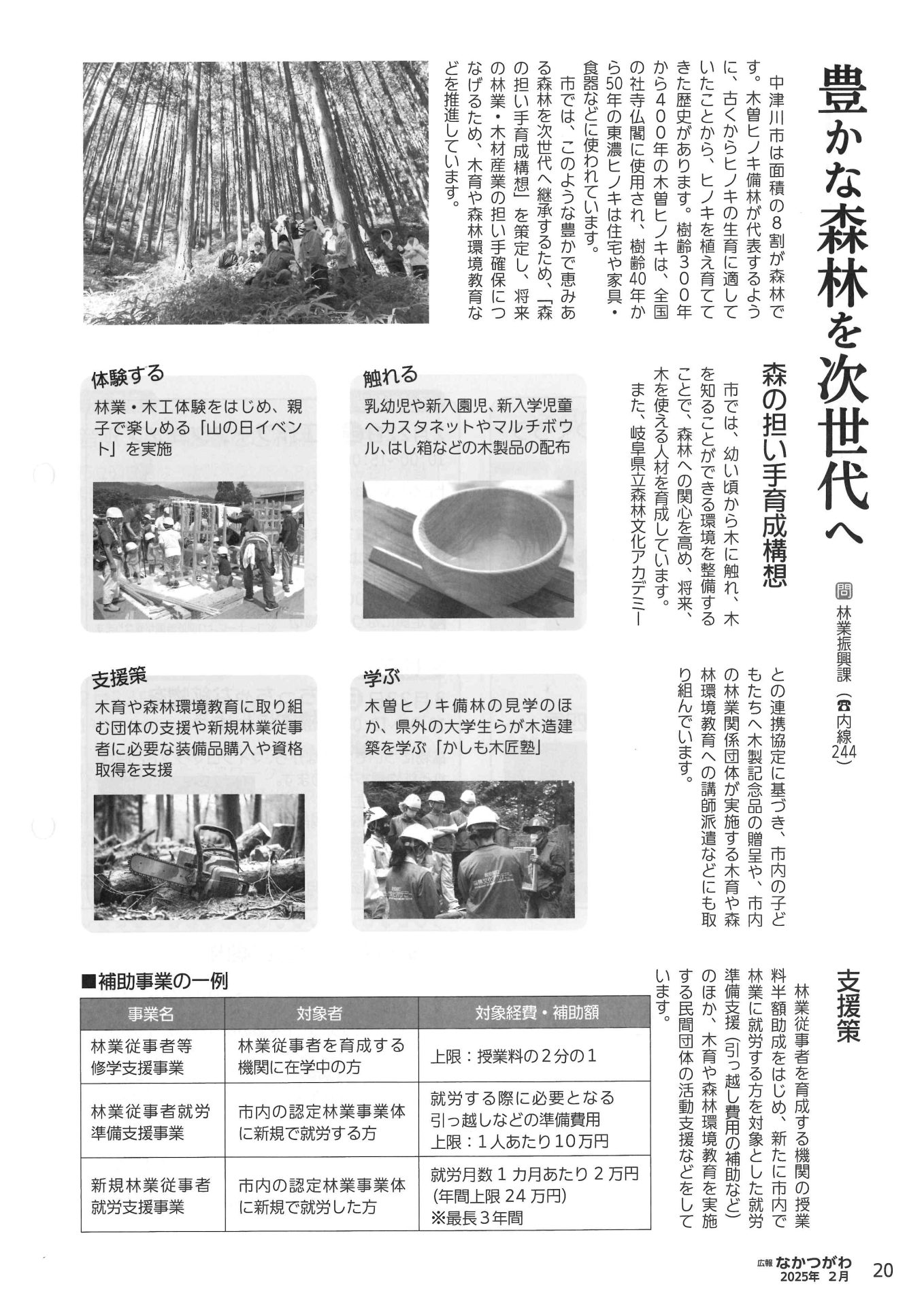 豊かな森林を次世代へ！中津川市の取り組みと木の魅力